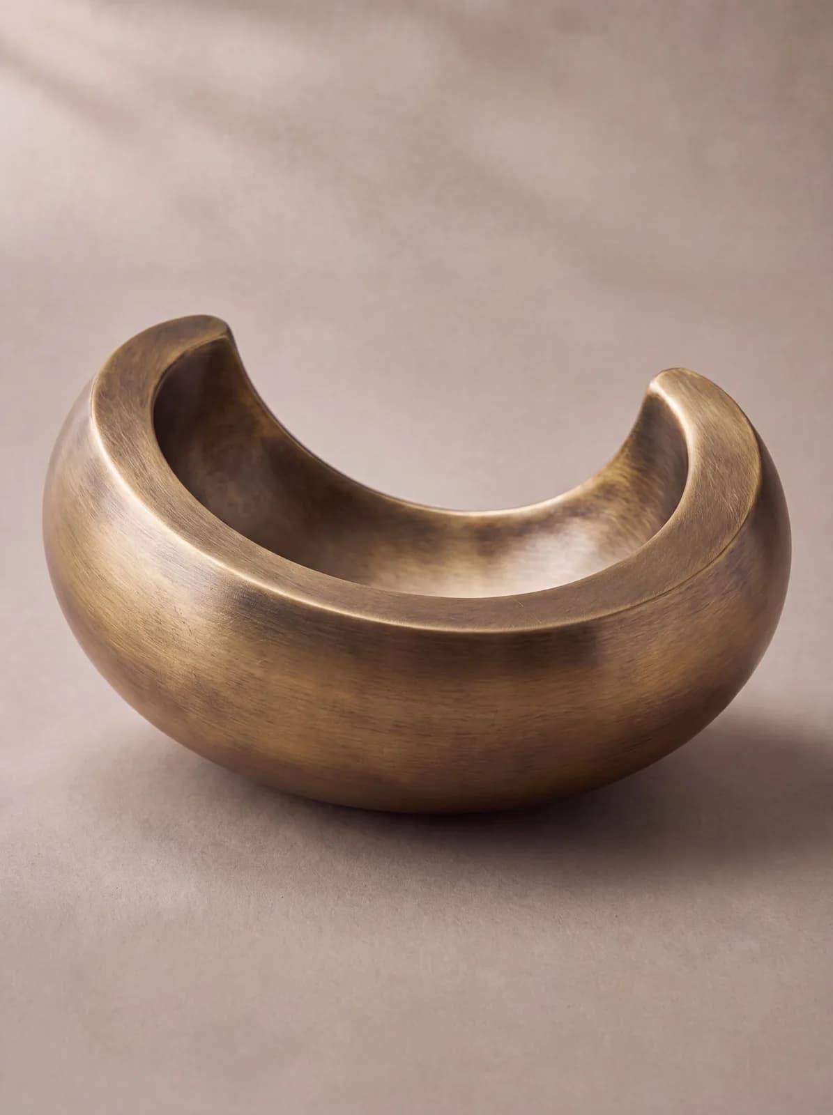 Torus Section